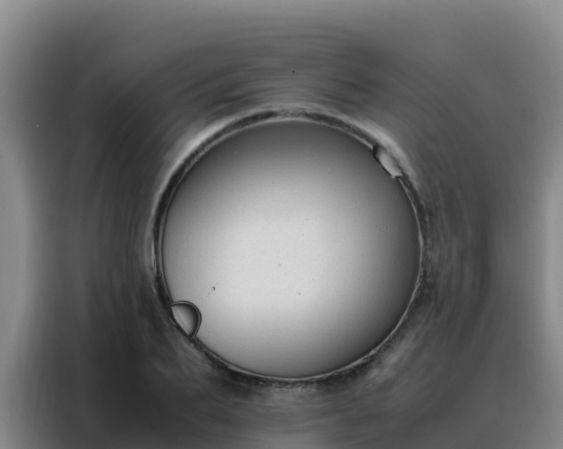 X0000088150887200705211154