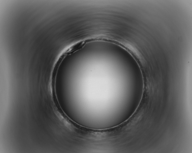 X0000088150888200705211154