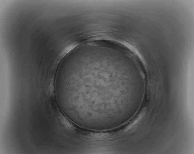 X0000088150889200705211154