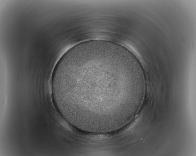 X0000088150891200705211154