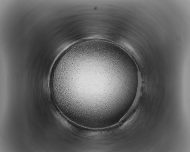 X0000088150892200705211154