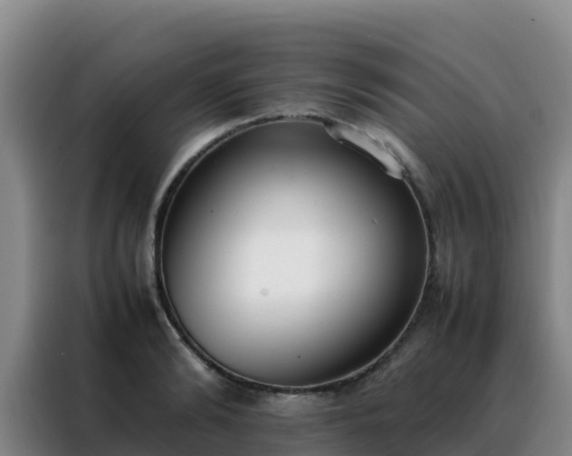 X0000088150894200705211154