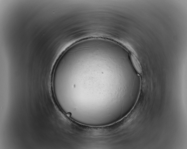 X0000088150895200705211153