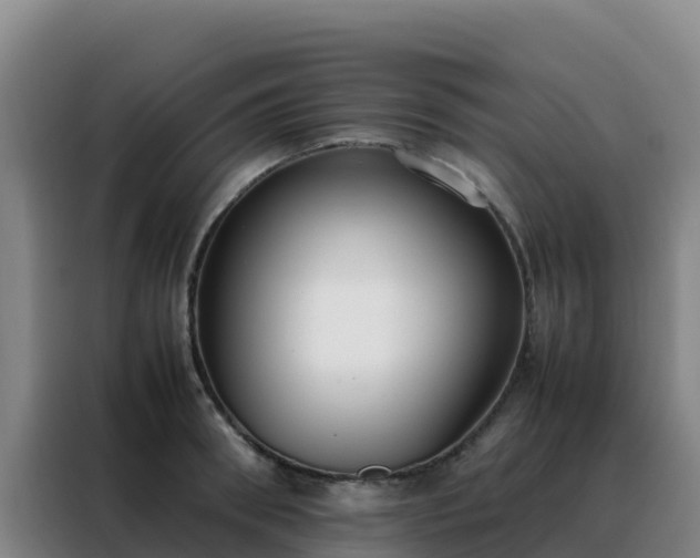 X0000088150898200705211153