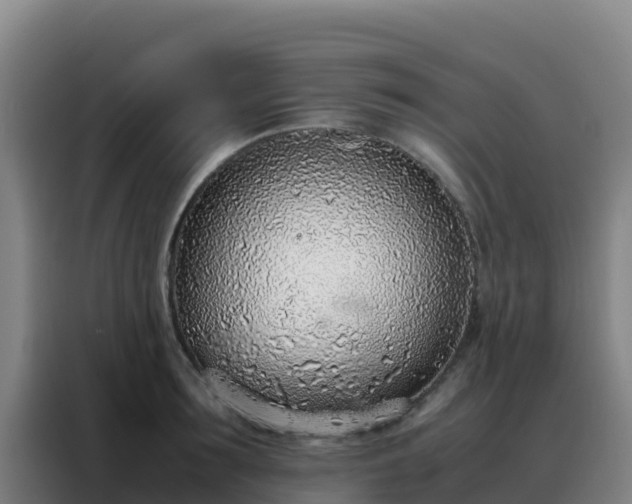 X0000088150899200705211153