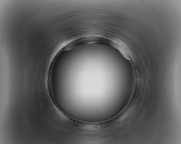 X0000088150901200705211153