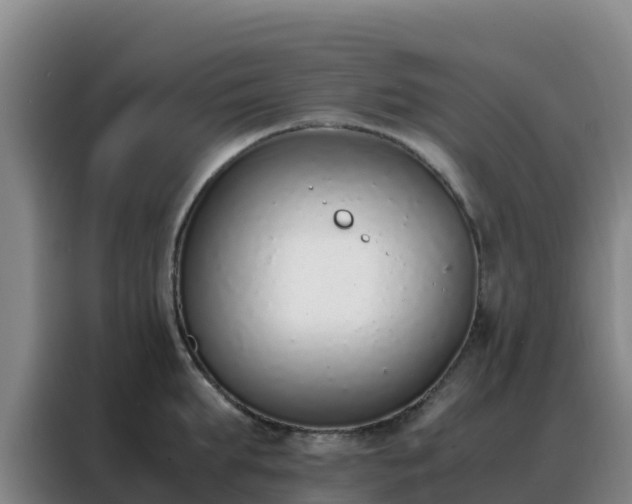 X0000088150903200705211153