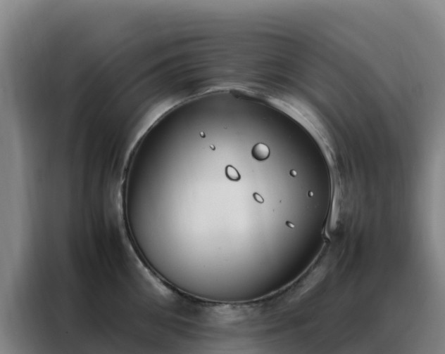 X0000088150906200705211153