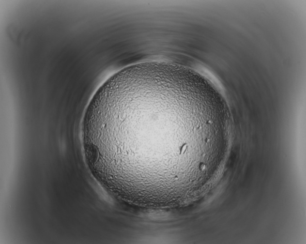 X0000088150907200705211153