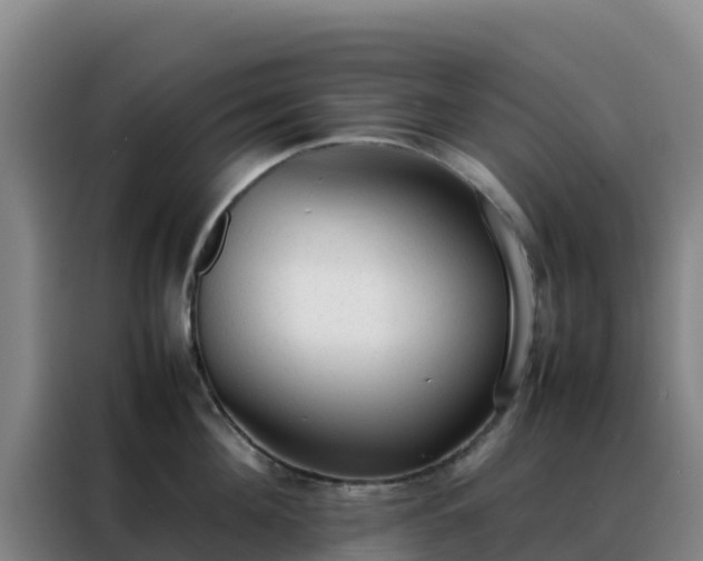 X0000088150908200705211153