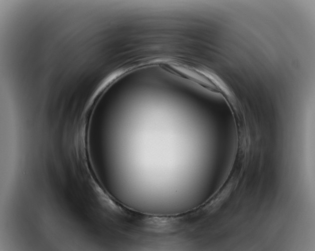 X0000088150910200705211153