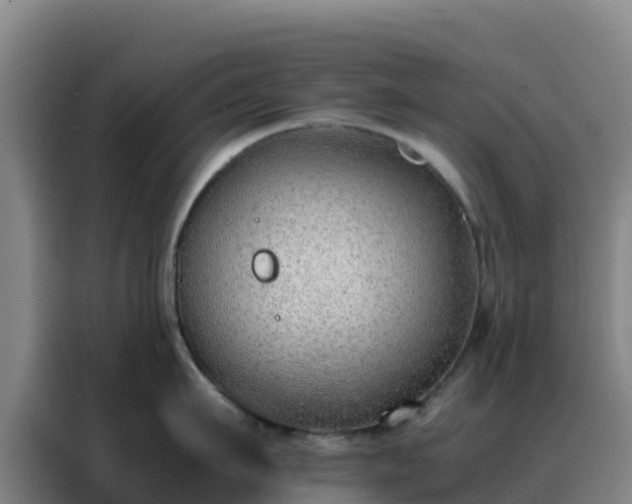 X0000088150911200705211153