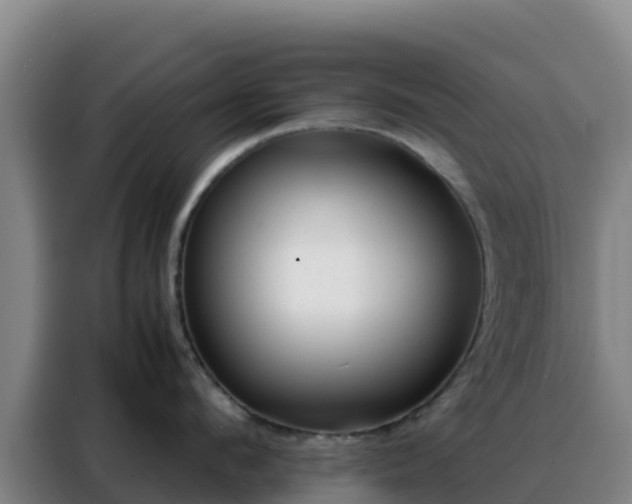 X0000088150912200705211153