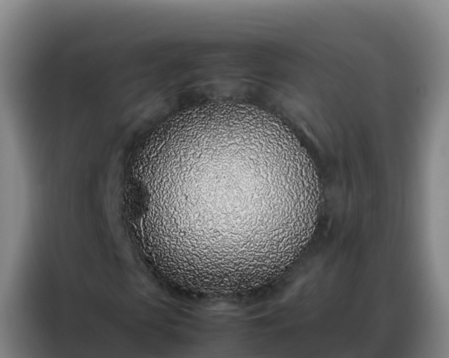 X0000088150913200705211153