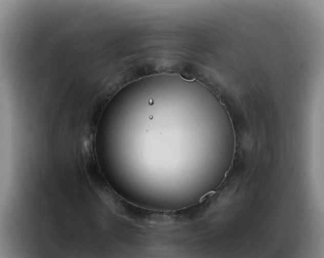 X0000088150914200705211153