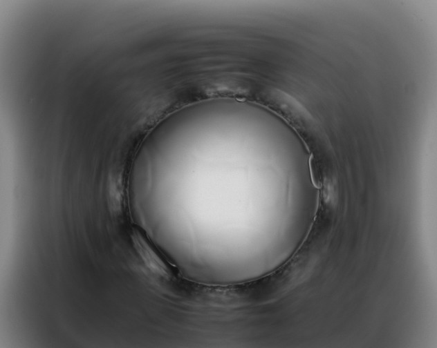 X0000088150915200705211153