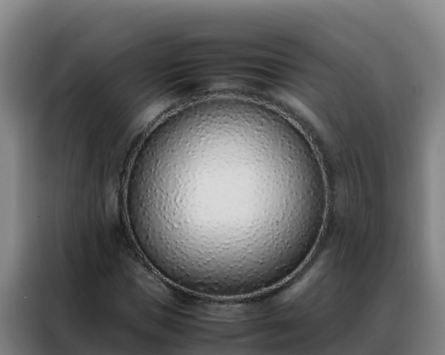 X0000088150921200705211153