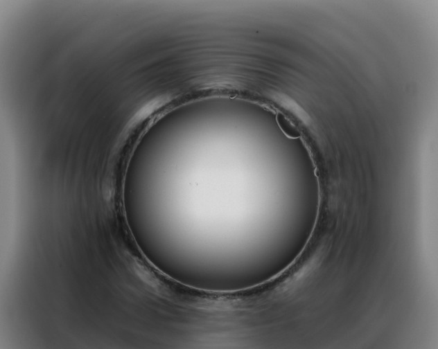 X0000088150922200705211153