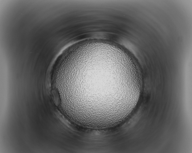 X0000088150923200705211153