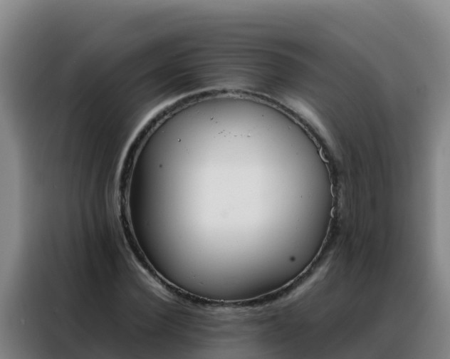 X0000088150924200705211153