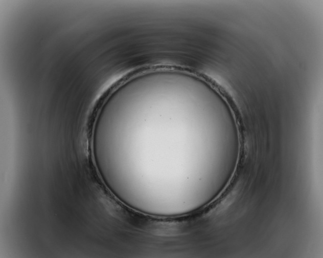 X0000088150925200705211153