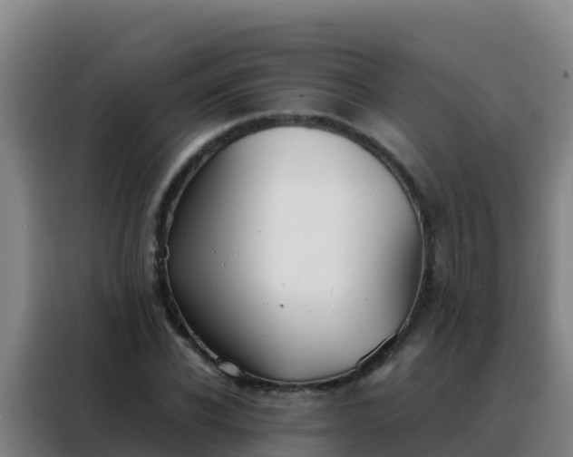 X0000088150926200705211153