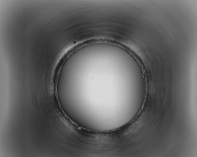 X0000088150927200705211153