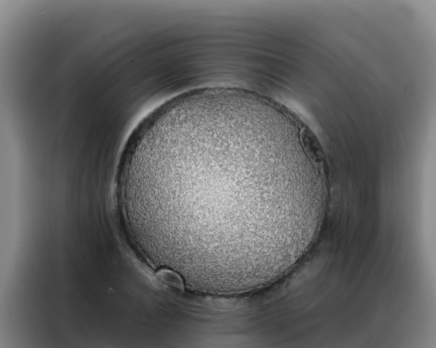 X0000088150928200705211153