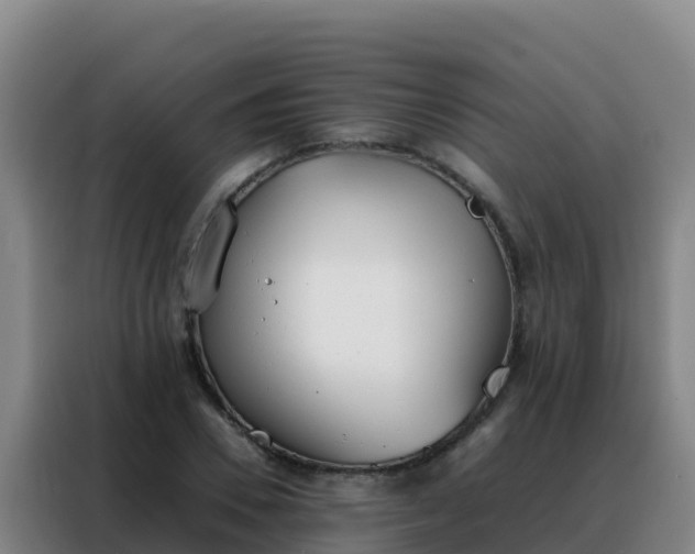 X0000088150930200705211153