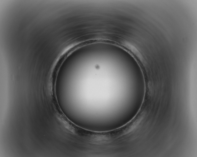 X0000088150931200705211153