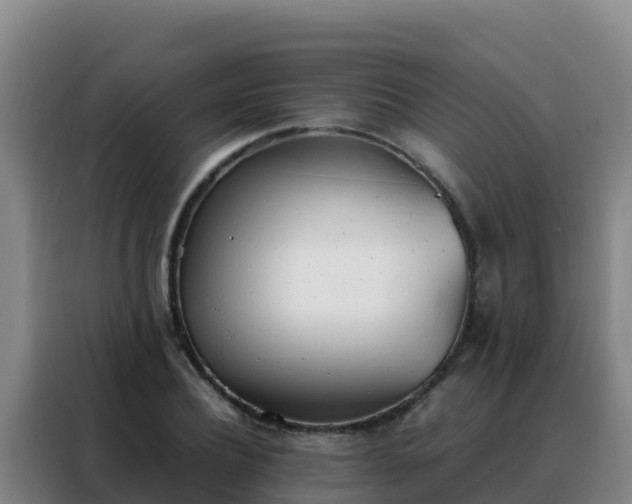 X0000088150932200705211153