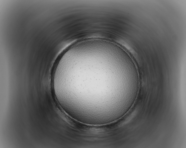 X0000088150933200705211153