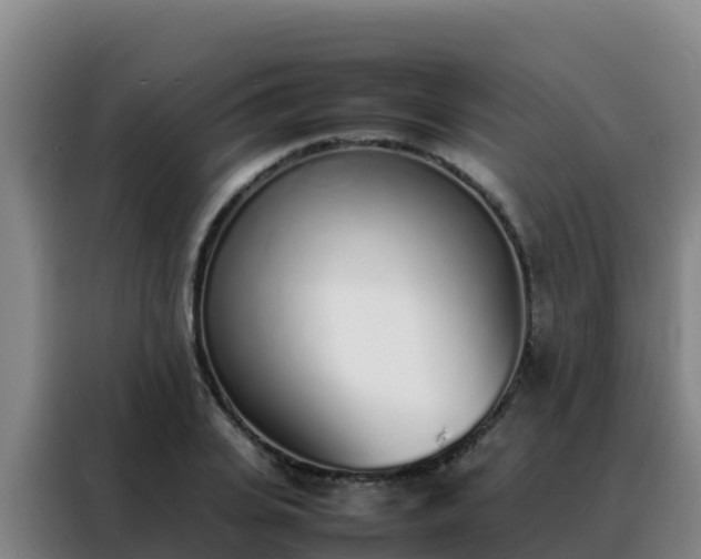 X0000088150935200705211153