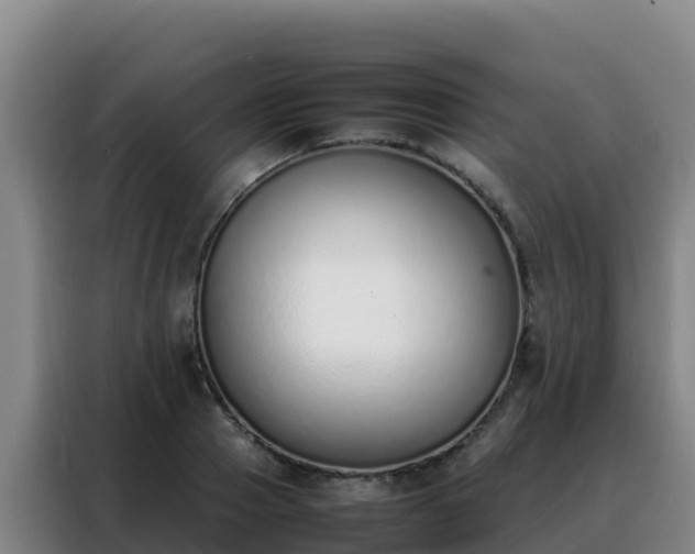 X0000088150937200705211153