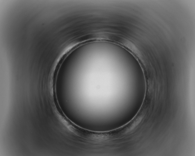 X0000088150939200705211153