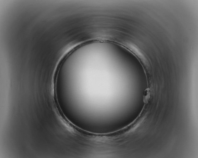 X0000088150940200705211153