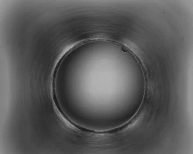 X0000088150941200705211153