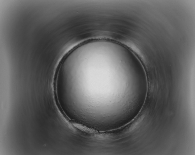 X0000088150943200705211153