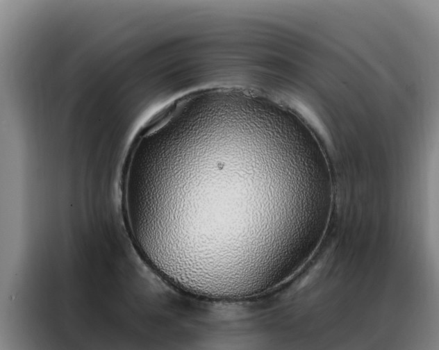 X0000088150944200705211153