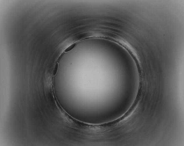 X0000088150945200705211153