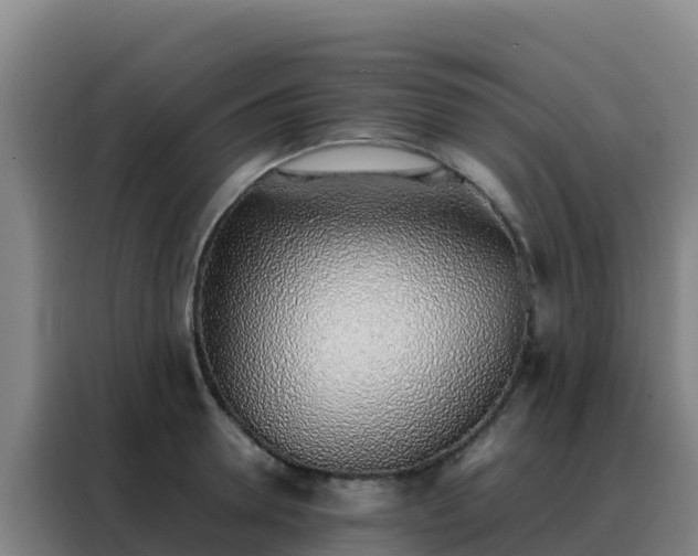 X0000088150946200705211153