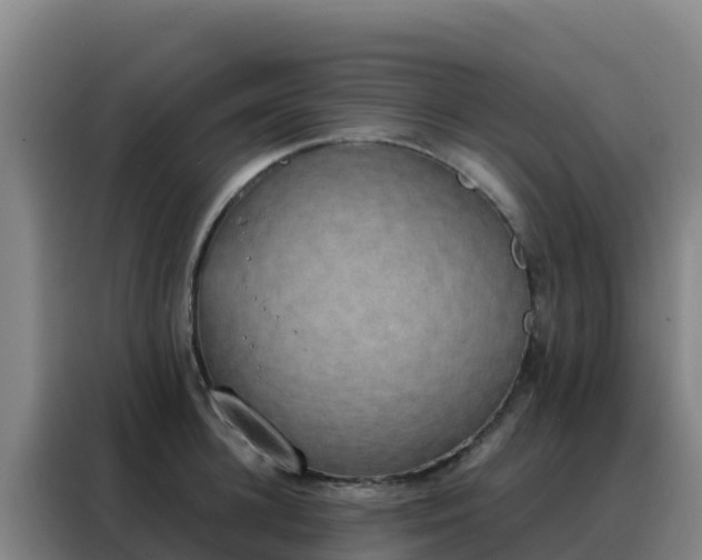 X0000088150948200705211153