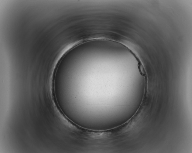 X0000088150949200705211153