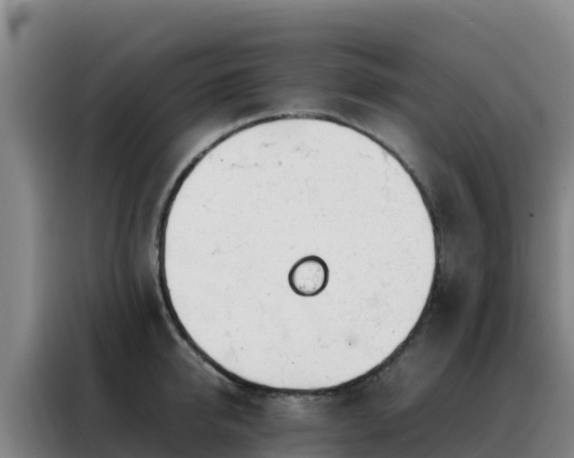 X0000088150950200705211153