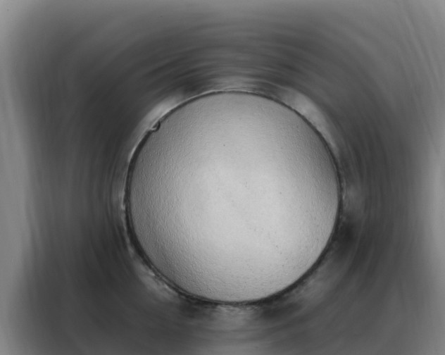 X0000088150954200705211153