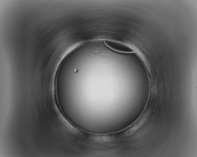 X0000088150957200705211153