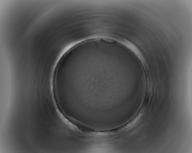 X0000088150958200705211153