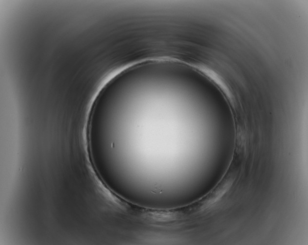 X0000088150959200705211153