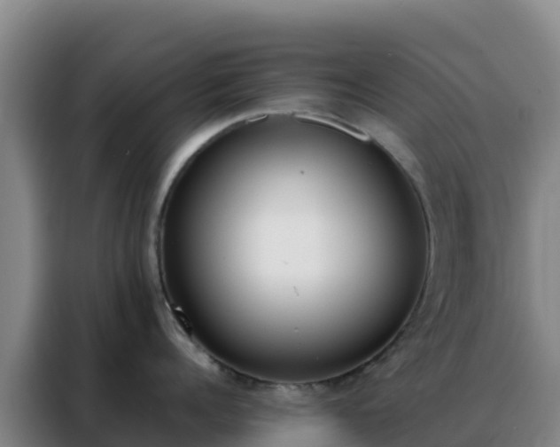 X0000088150960200705211153