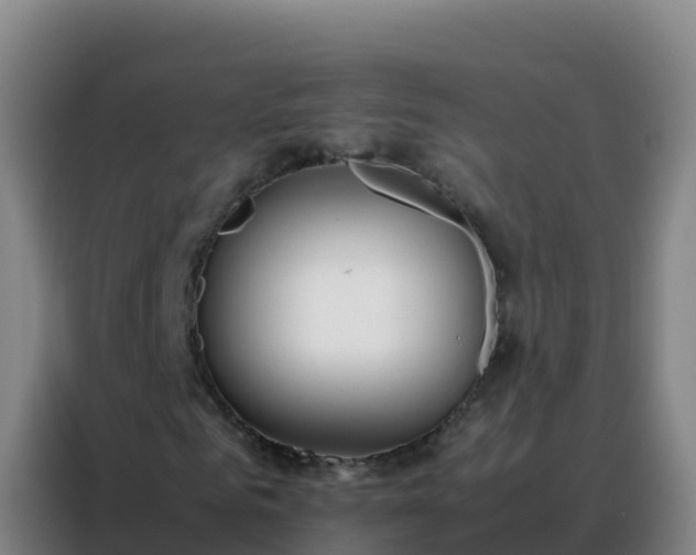 X0000088150961200705211153